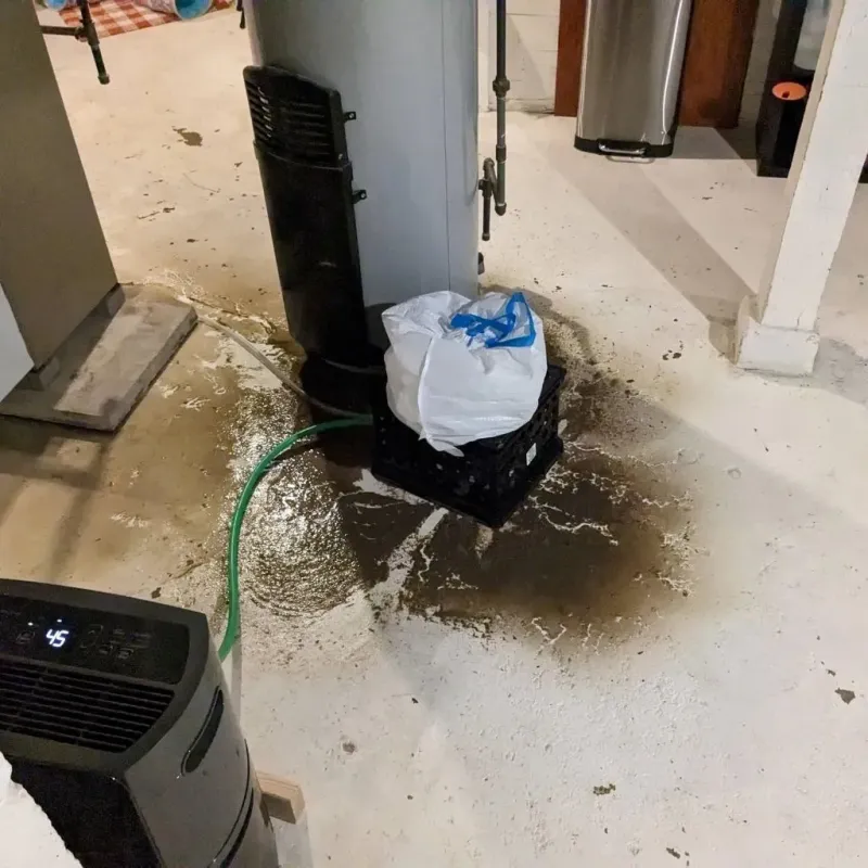 Sewage Backup Cleanup Service in Woodlyn, PA